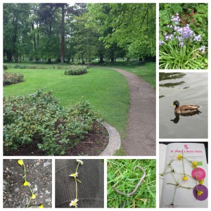 Morden Hall Park 1