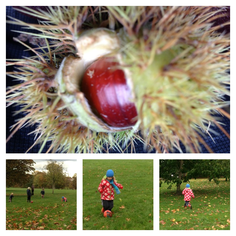 Chestnuts one 1